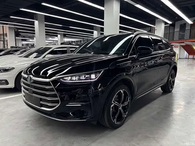 2021 BYD Tang New Energy DM-i 112KM Premium, фото 1, лот 10273288