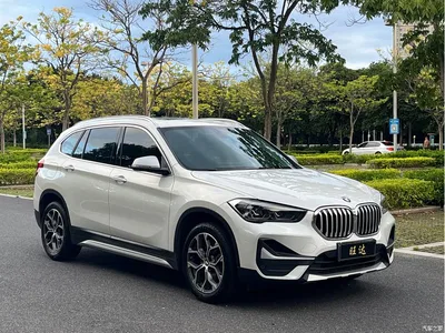 2021 BMW X1 sDrive20Li Exclusive, фото 3, лот 10411248