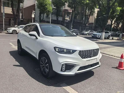 2021 WEY VV5 1.5T 2WD Trend Pioneer, фото 3, лот 11586220
