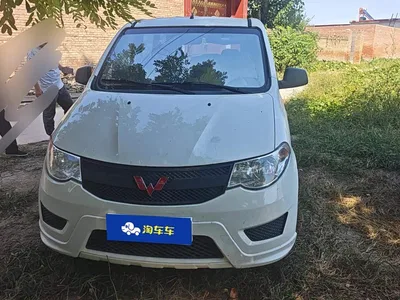 2020 Wuling Motors Wuling Hongguang 1.2L S Basic China VI LSI, фото 2, лот 10450911
