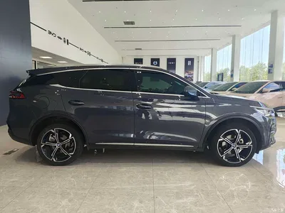 2021 BYD Tang New Energy DM-i 112KM Premium, фото 4, лот 10395625