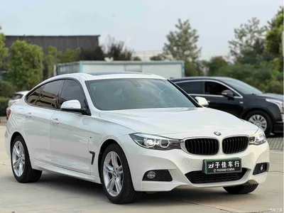 2020 BMW 3 Series GT 320i M Sport Package, фото 3, лот 10511195