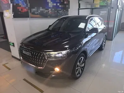 2021 Haval H6 National Trend Edition 1.5GDIT Automatic Super Luxury Edition, фото 1, лот 10284199