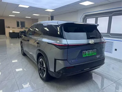 2025 Toyota BoZhi 3X 520 Pro+, фото 4, лот 10831127