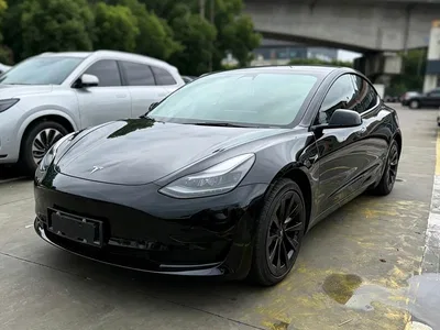2021 Tesla Model 3 Standard Range Rear-Wheel Drive Upgrade, фото 1, лот 11178893
