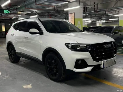 2021 Haval H6 Model National Trend Edition 1.5T Auto Champion, фото 3, лот 11243800