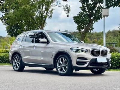 2021 BMW X3 xDrive28i Luxury Package, фото 3, лот 10413210
