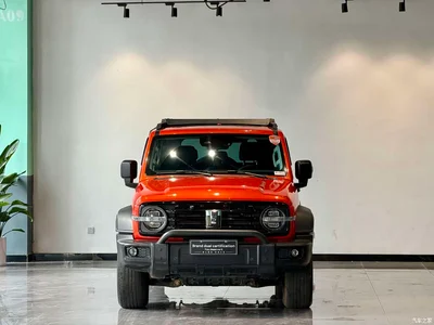 2023 Tank 300 Off-Road Edition 2.0T Conqueror, фото 2, лот 10344865