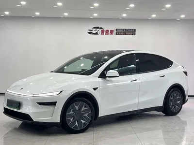 2025 Tesla Model Y L, фото 1, лот 10894528
