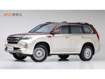 2020 Haval H9 2.0T Gasoline 4WD Luxury 7-Seater, фото 1, лот 10306264