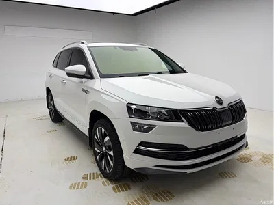 2022 Škoda Karoq TSI280 Luxury Edition, фото 3, лот 10348747