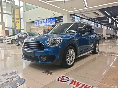 2019 MINI COUNTRYMAN 1.5T COOPER ALL4 Artist Weekend Travel, фото 1, лот 10332351