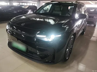 2024 Leapmotor C16 Pure Electric 520 Smart Edition, фото 1, лот 10442056