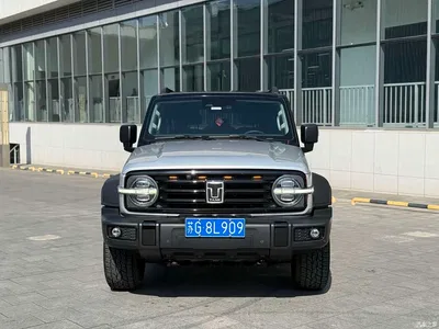 2023 Tank 300 Off-Road Edition 2.0T Conqueror, фото 3, лот 10769440