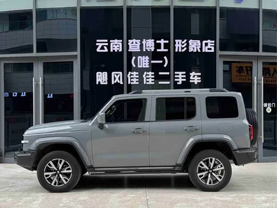 2024 Tank 300 2.0T Explorer, фото 3, лот 11205581