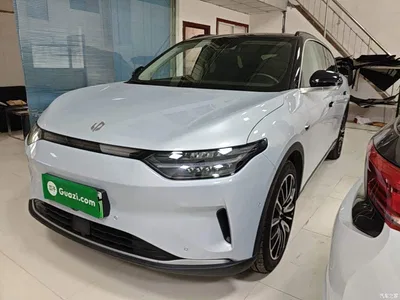 2021 Leapmotor C11 Luxury Edition, фото 1, лот 10385698