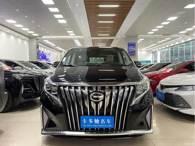 2018 GAC Trumpchi Trumpchi M8 320T Premium Edition, фото 2, лот 10576751