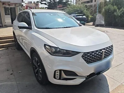 2021 WEY VV6 2.0T 2WD Smart Enjoyment+, фото 4, лот 10765035