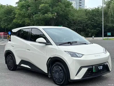 2024 BYD Seagull Glory Edition 305km Vitality Edition, фото 3, лот 10671348