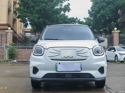 2022 Leapmotor T03 Crystal Shine Edition, фото 2, лот 10316998