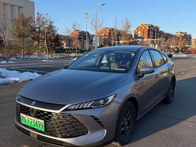2025 BYD Qin PLUS DM-i Smart Drive 55KM Leader, фото 2, лот 10363010