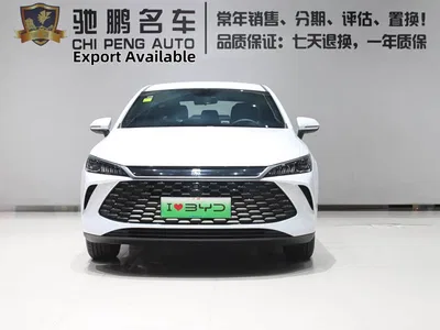 2026 BYD Qin PLUS DM-i 128KM Progressive, фото 4, лот 10364151