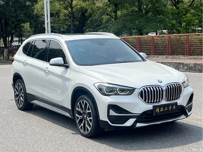 2021 BMW X1 Facelift xDrive25Li Premium, фото 3, лот 10466599