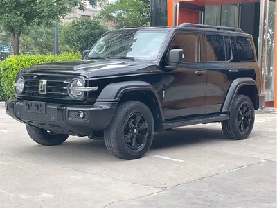 2021 Tank 300 Off-road Version 2.0T Conqueror, фото 1, лот 10344790