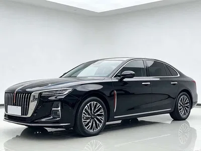 2023 Hongqi H5 2.0T Auto Smart Connect Flag Comfort, фото 1, лот 11580872