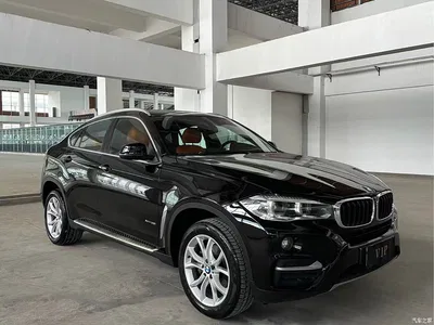 2017 BMW X6 xDrive35i Luxury, фото 3, лот 10469353