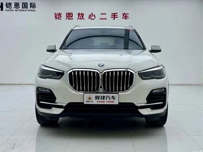 2019 BMW X5 (Import) xDrive40i M Sport Package, фото 2, лот 10463662