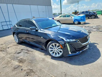 2023 CADILLAC CT5 LUXURY, фото 4, лот 10866346
