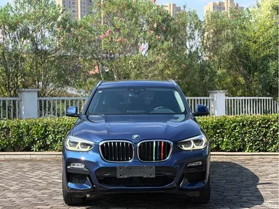 2018 BMW X3 xDrive25i M Sport Package China VI, фото 2, лот 10461514