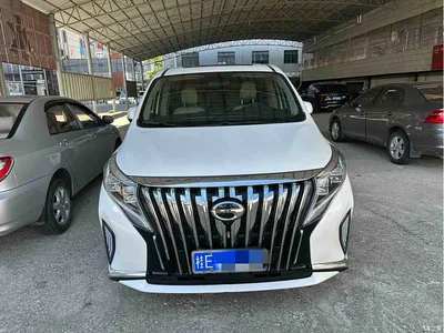 2021 GAC Trumpchi Trumpchi M8 Leading Show Series 390T Prestige Edition, фото 1, лот 11270698