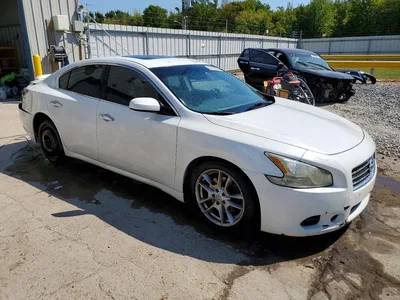 2009 NISSAN MAXIMA 3.5 S, фото 4, лот 10755438