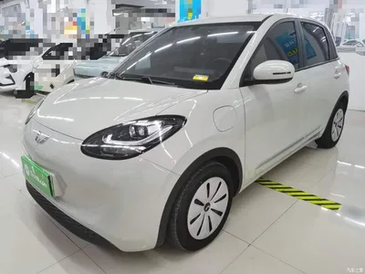 2023 Wuling Motors Wuling Bingo 333km Quick Enjoy Version, фото 2, лот 11205456