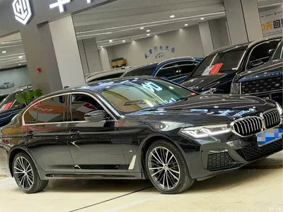 2023 BMW 5 Series 530Li Leading M Sport Package, фото 3, лот 11548866