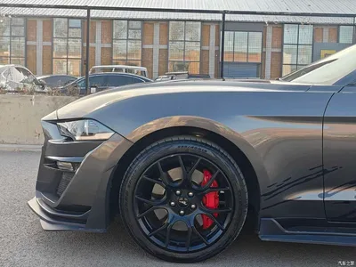 2019 Ford Mustang 2.3L EcoBoost, фото 4, лот 10294332
