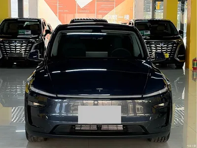 2025 Tesla Model Y Model Rear-Wheel Drive Launch Edition, фото 2, лот 10455253