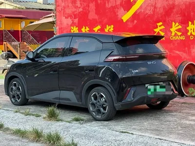 2024 BYD Seagull Glory Edition 405km Soaring Edition, фото 3, лот 10247535