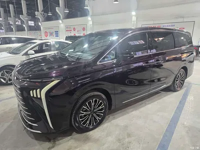 2024 Dongfeng Starlight V9 1.5TD 200km Cloud Ladder Series Premium, фото 3, лот 11523081
