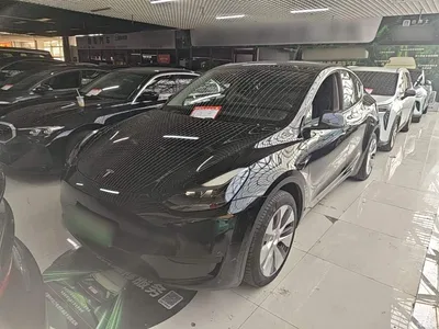 2022 Tesla Model Y Facelift Rear-Wheel Drive Version, фото 2, лот 11582147