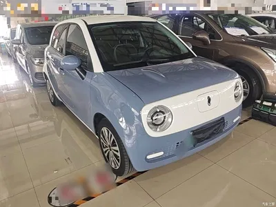 2021 Ora Black Cat 301km Pet Edition, фото 4, лот 10330703