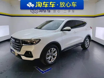 2021 Haval H6 Model National Trend Edition 1.5T Auto Champion, фото 1, лот 10298591