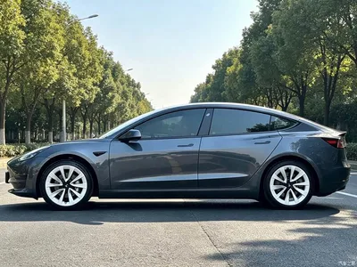 2023 Tesla Model 3 Rear-Wheel Drive, фото 4, лот 10615254