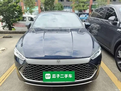 2023 BYD Qin PLUS Champion Edition DM-i 55KM Leading, фото 3, лот 10389635
