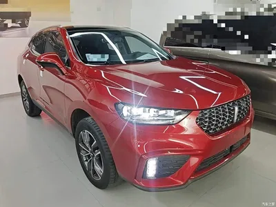 2020 WEY VV5 1.5T 2WD Style Pioneer, фото 4, лот 10452202