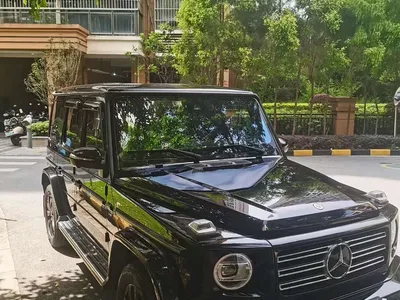 2020 Mercedes-Benz G-Class G 350, фото 1, лот 10296183