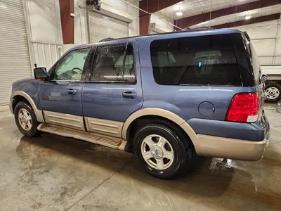 2004 FORD EXPEDITION EDDIE BAUER, фото 2, лот 10983574