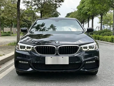 2018 BMW 5 Series Facelift 530Li Leading M Sport Package, фото 3, лот 10444728